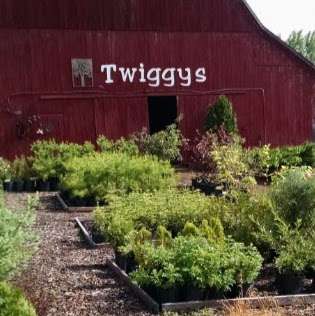 Twiggy's Tree Farm and Nursery